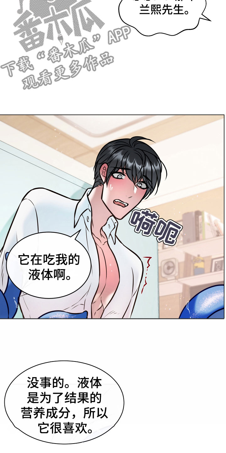 植物与人漫画,第4章：一起3图