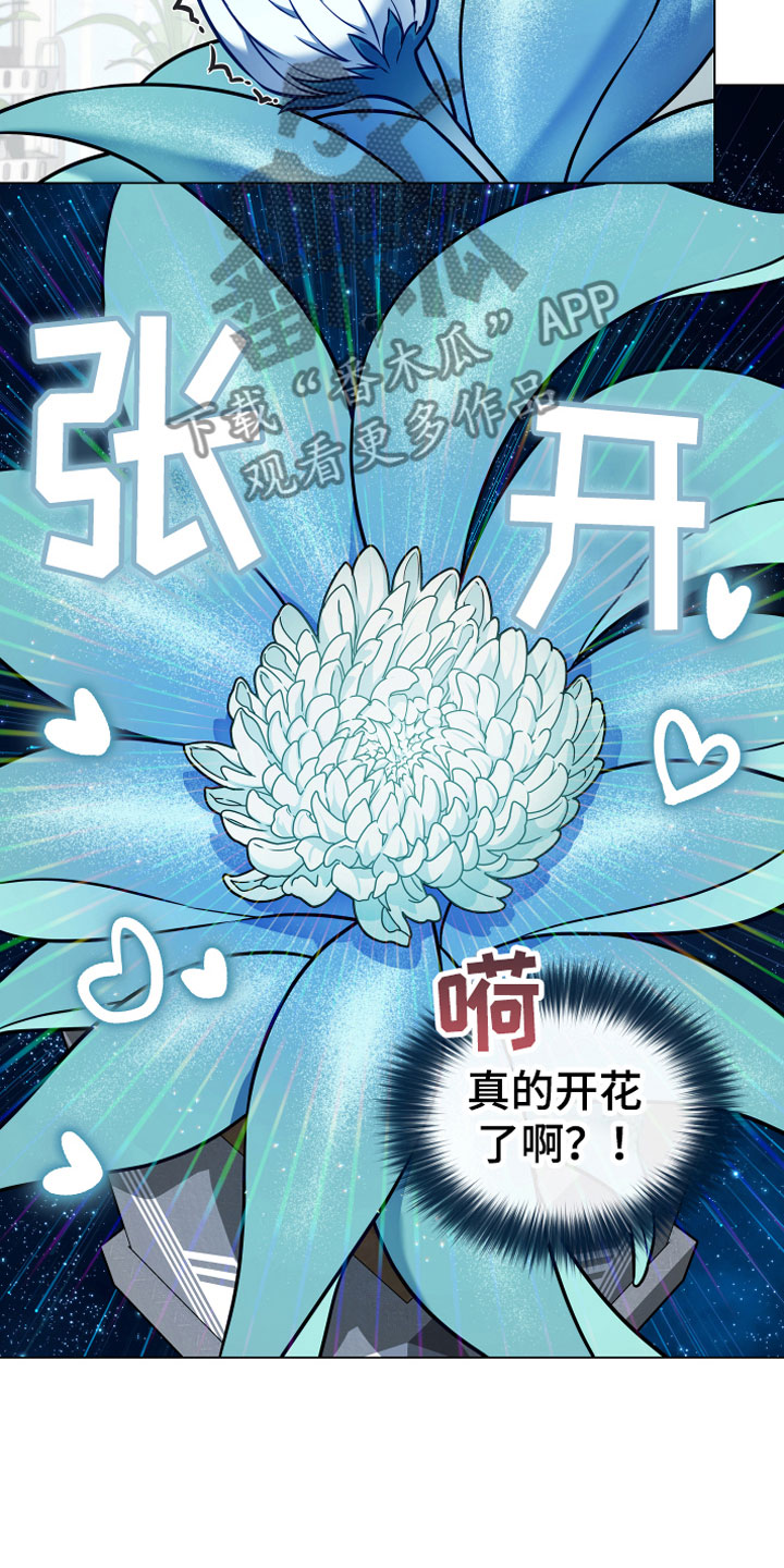 植物与人漫画,第9章：开花4图