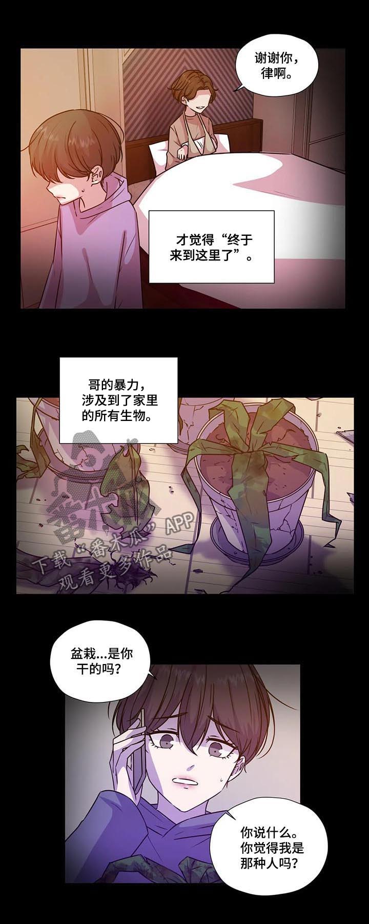 永恒的牢笼漫画,第105章：【第二季】怕你受伤3图