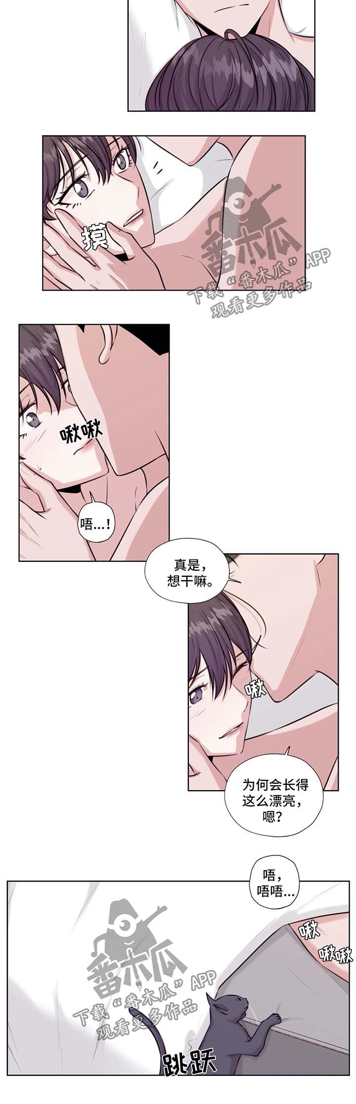 永恒的牢笼漫画,第46章：在这生活吧3图
