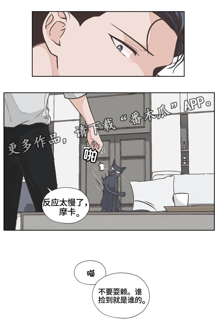 永恒的枷锁塞拉斯漫画,第17章：职业1图