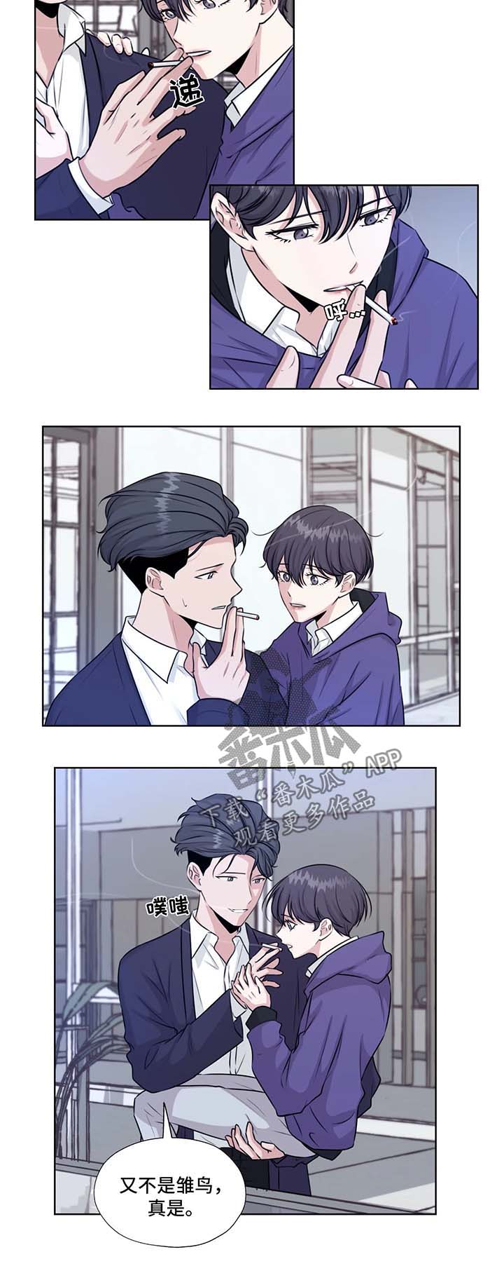 永恒的牢笼漫画,第46章：在这生活吧4图