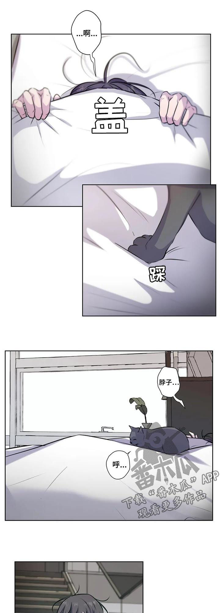 永恒的牢笼(水上歌)漫画,第75章：【第二季】马上回去3图