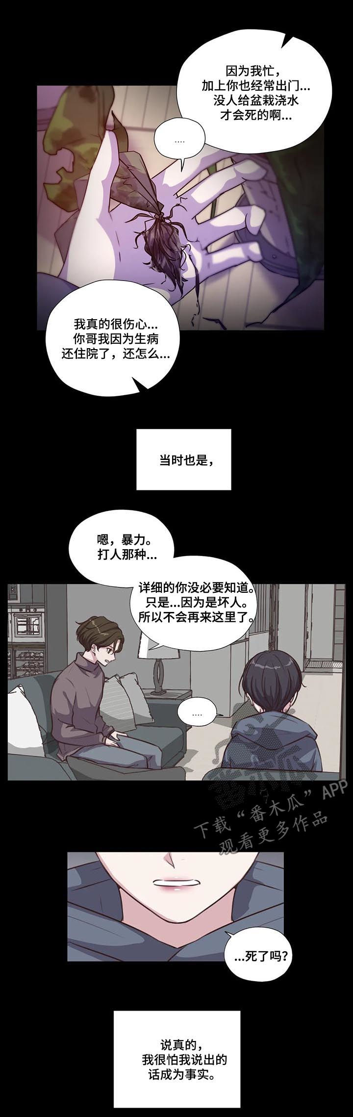 永恒的牢笼漫画,第105章：【第二季】怕你受伤4图