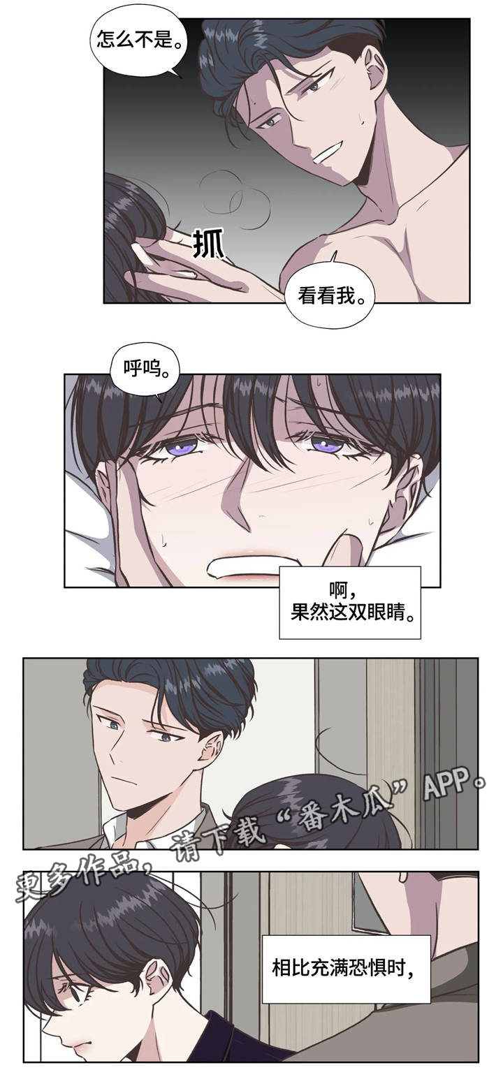 永恒的牢笼漫画,第33章：烙印2图