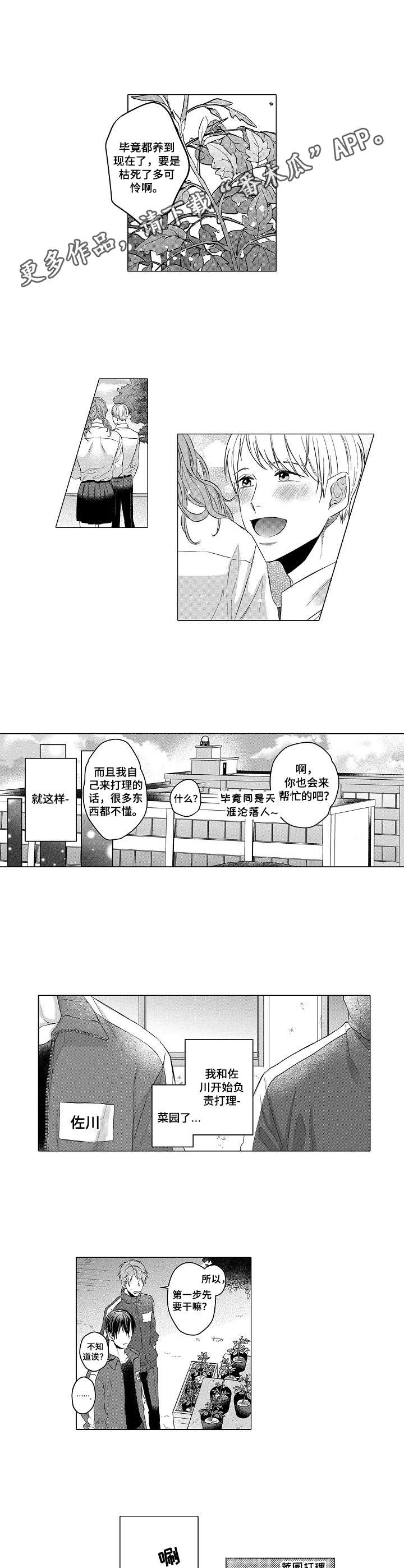 交错的菜园漫画,第2章：菜园3图