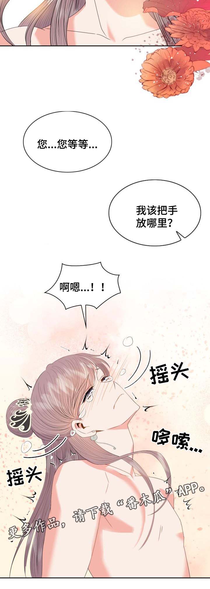 皇妃电视剧全集免费观看漫画,第43章：传太医3图