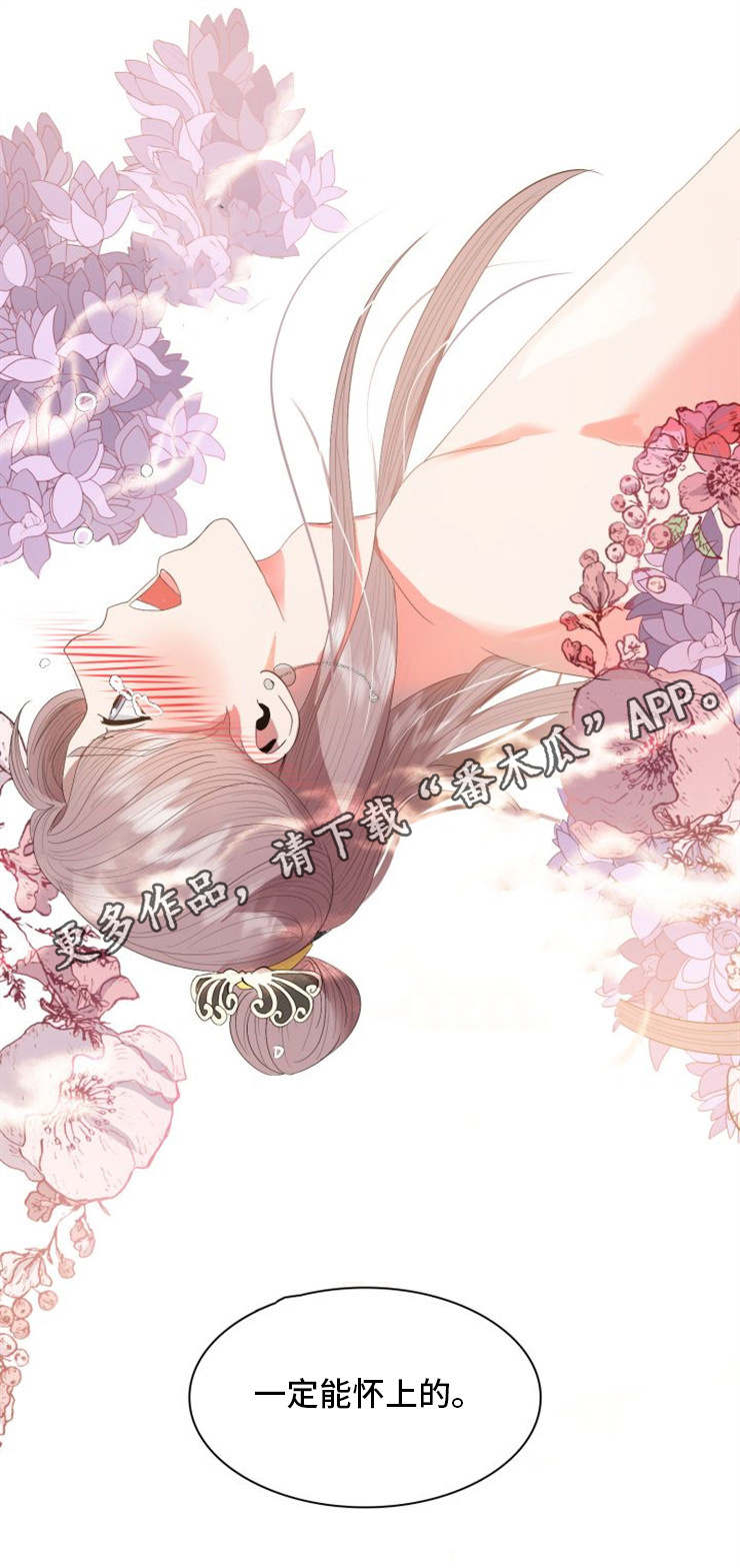 皇妃是什么意思漫画,第27章：意外4图