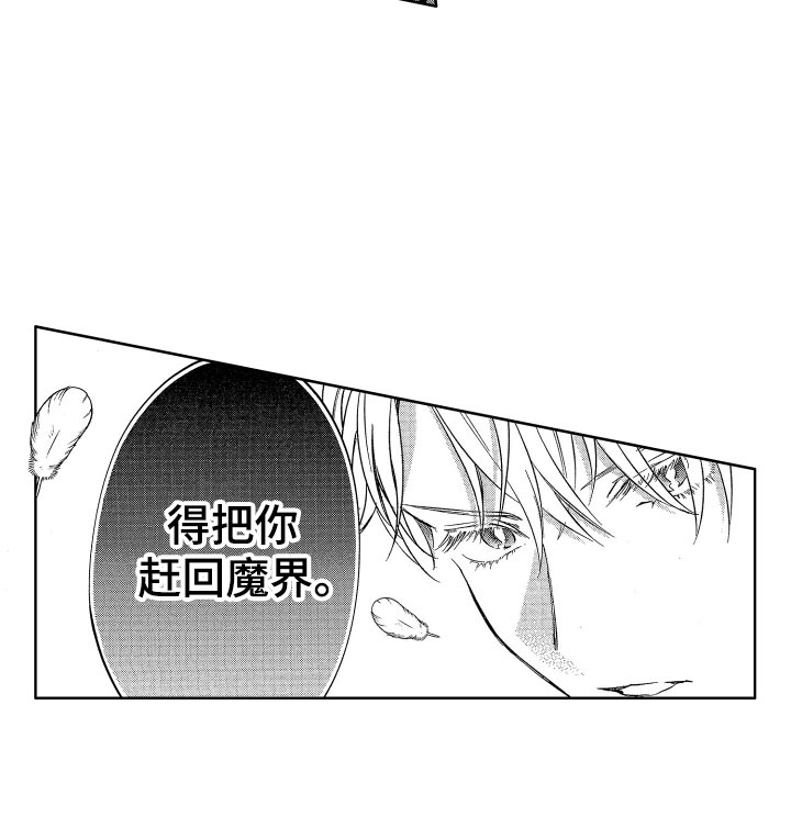 梦魔初入人间漫画,第12章：突降天使1图