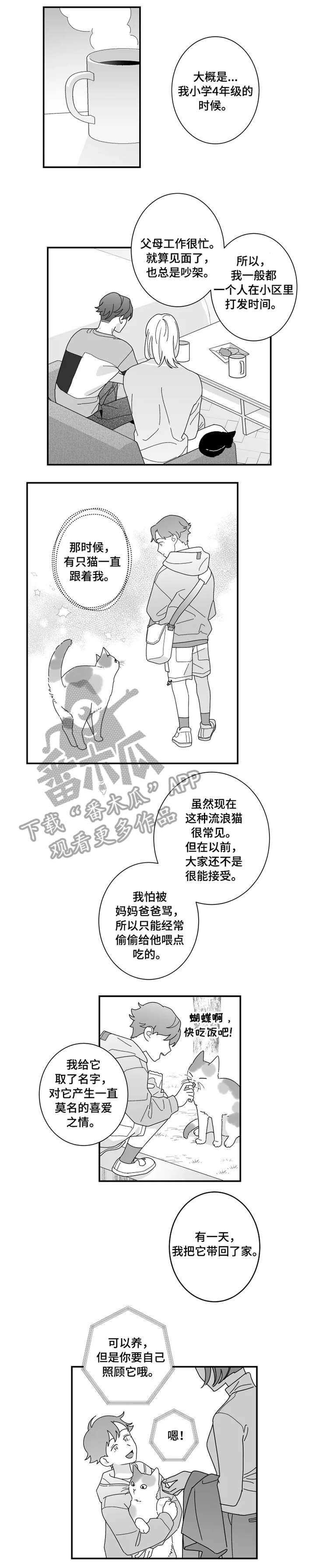 密宠情人漫画,第16章：猫咪4图
