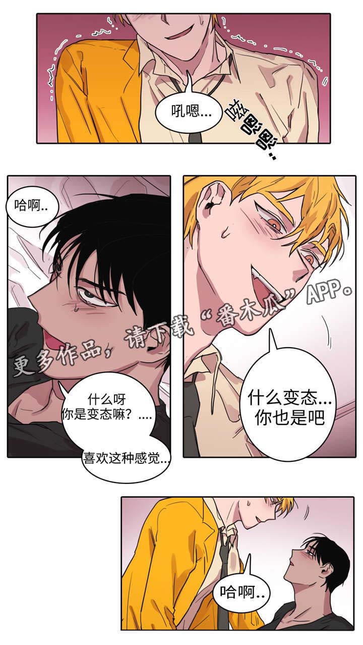 五者漫画,第12章：恋爱计划1图