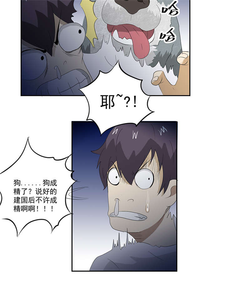 爱上阴间小娇妻完整版漫画,第13章：有条狗4图