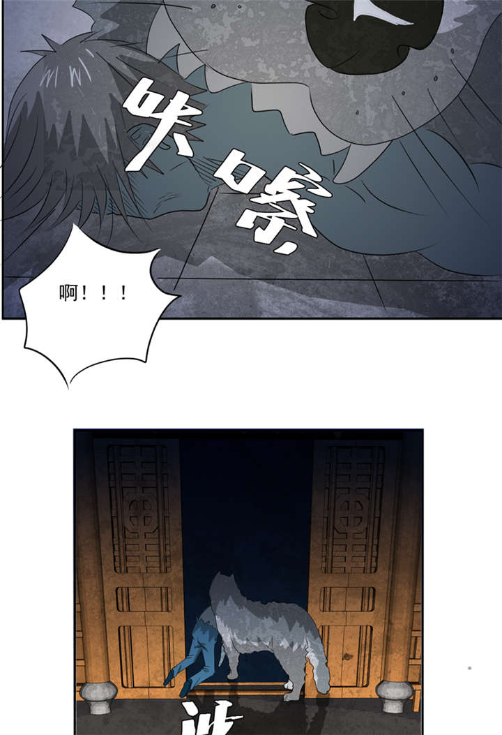 爱上阴间小娇妻之续缘百度网盘资源漫画,第15章：袭杀4图