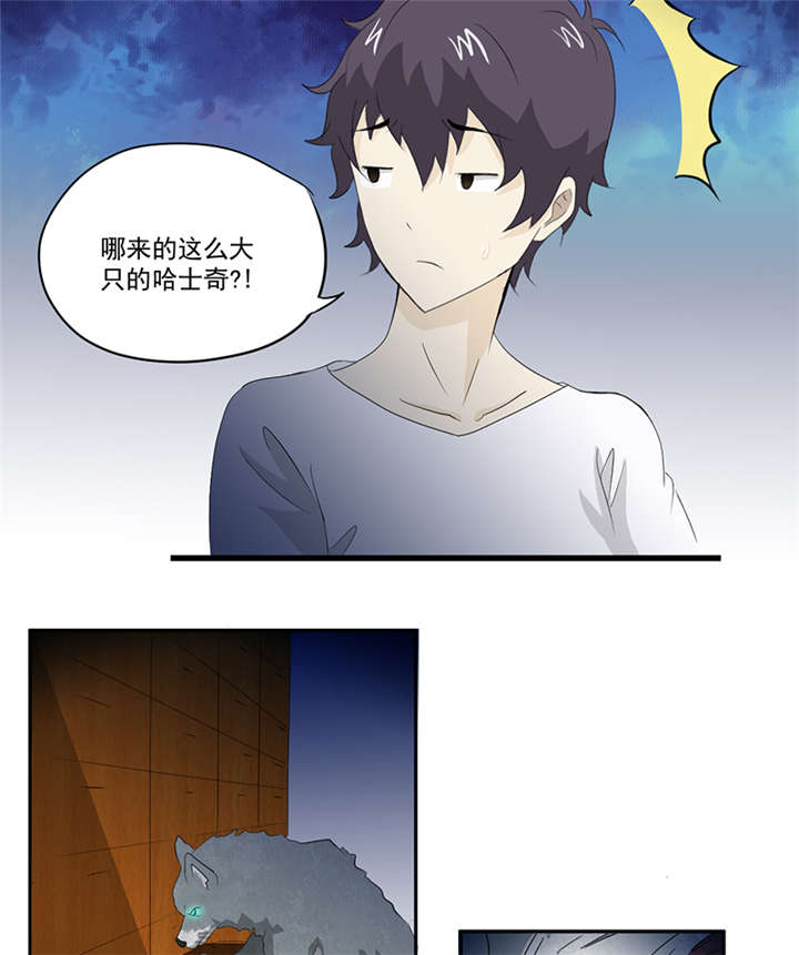 爱上阴间小娇妻完整版漫画,第13章：有条狗4图