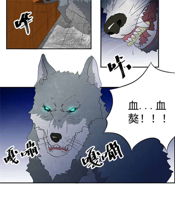 爱上阴间小娇妻完整版漫画,第13章：有条狗5图