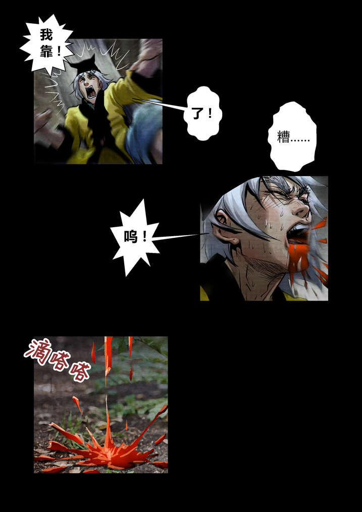 魂收漫画,第24章：暴雨梨花针4图