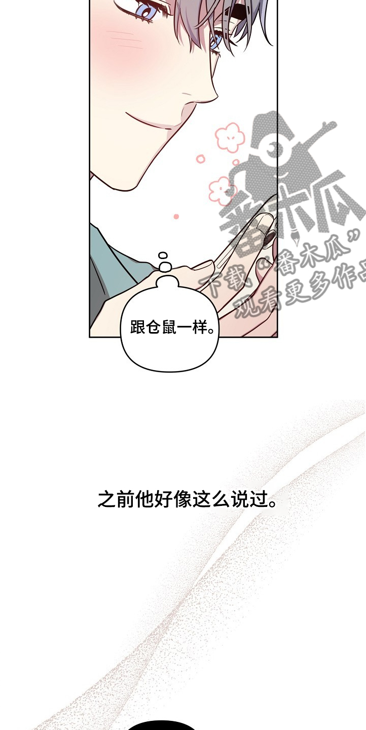偶像就在我身边作文800漫画,第51章：【第二季】背后编排3图