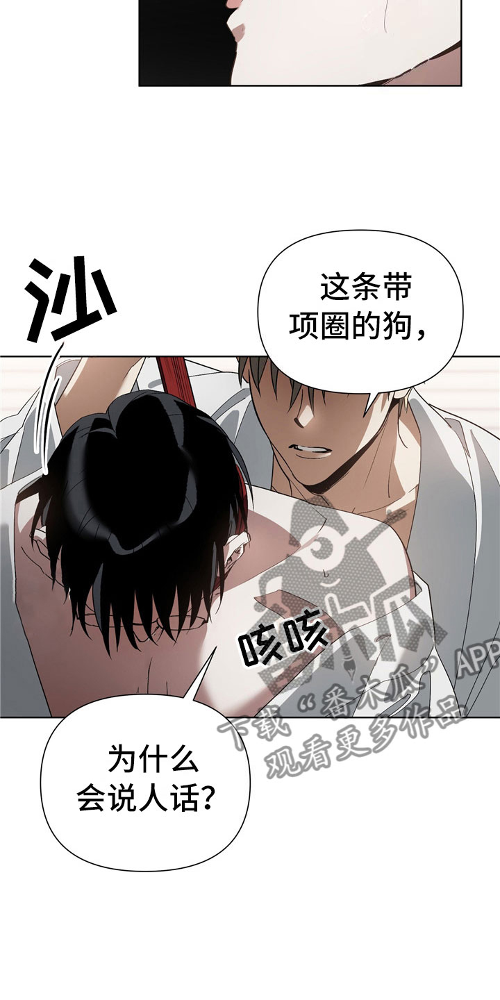 猜不到样子漫画,第7章：选择5图