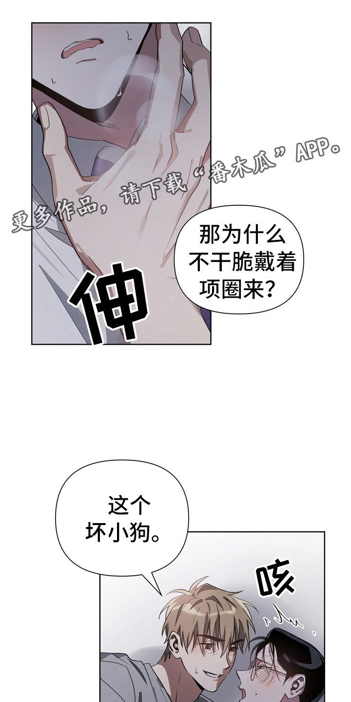 猜不到样子漫画,第11章：坏小狗4图