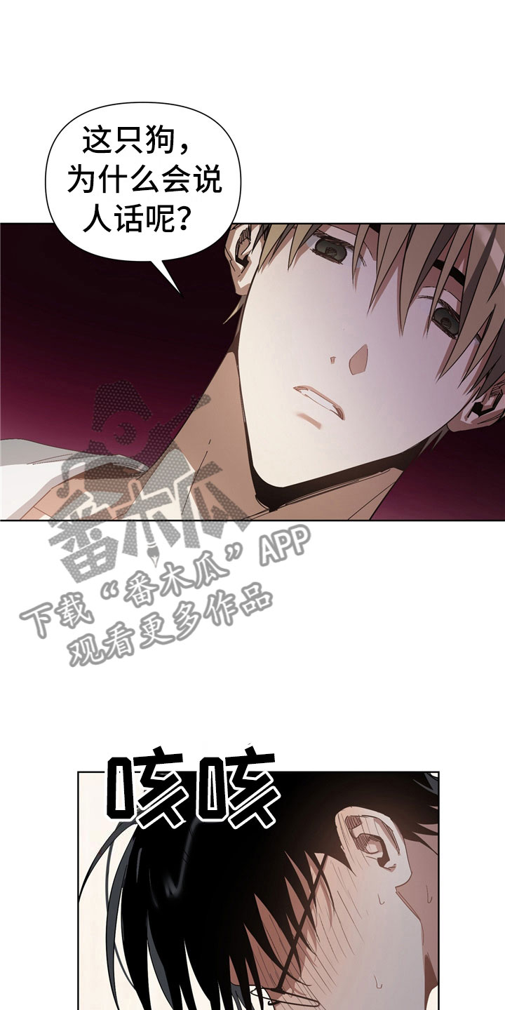 猜不到样子漫画,第7章：选择3图