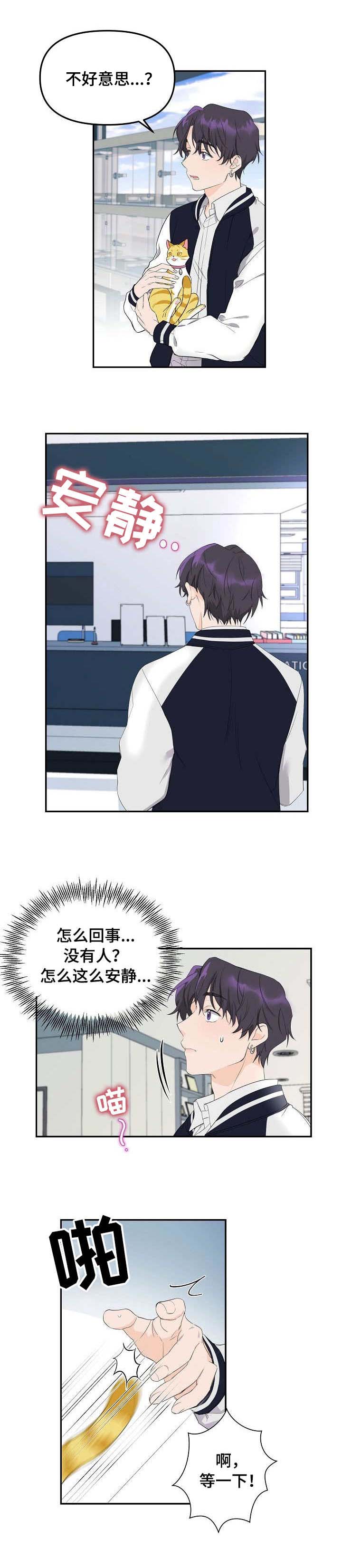 伥鬼漫画,第1章：猫咪5图