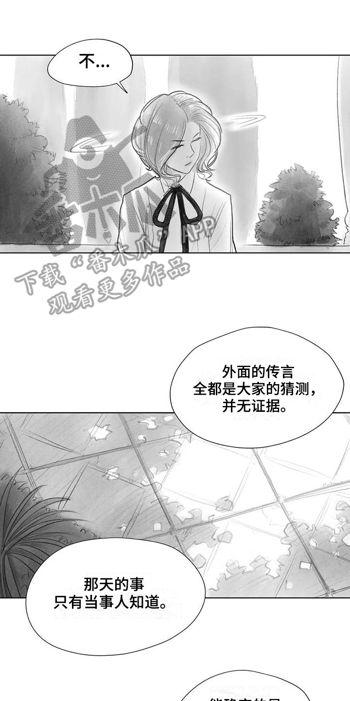 断翼月季适合盆栽吗漫画,第44章：盯梢3图