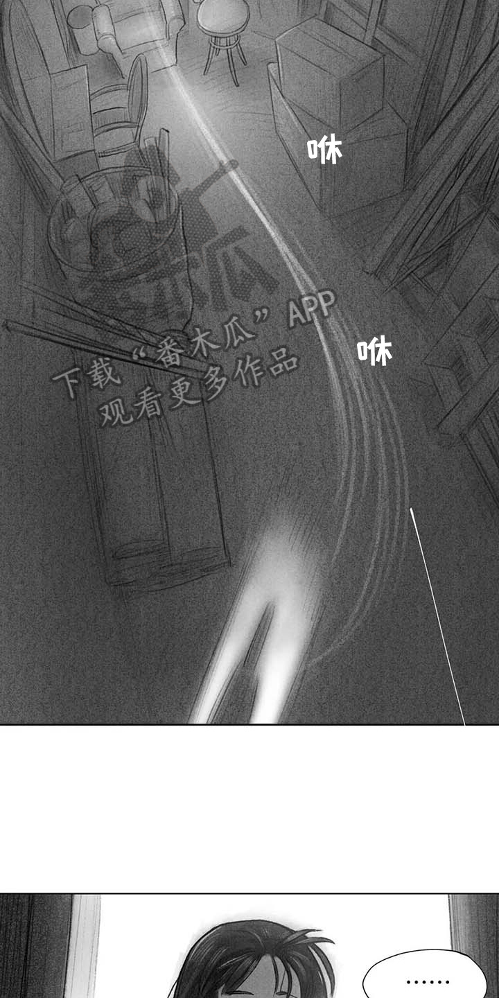断翼月季适合盆栽吗漫画,第49章：关系要好1图