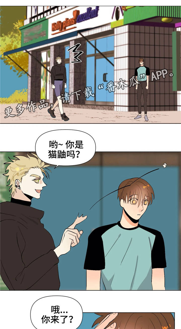 青春初遇漫画,第17章：够了4图