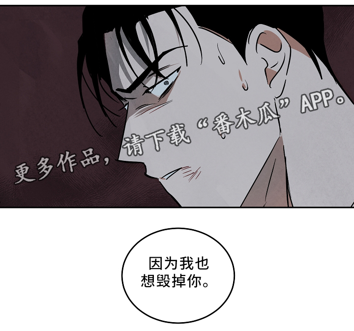 巨额来电阿海为什么没买房子漫画,第71章：对不起4图