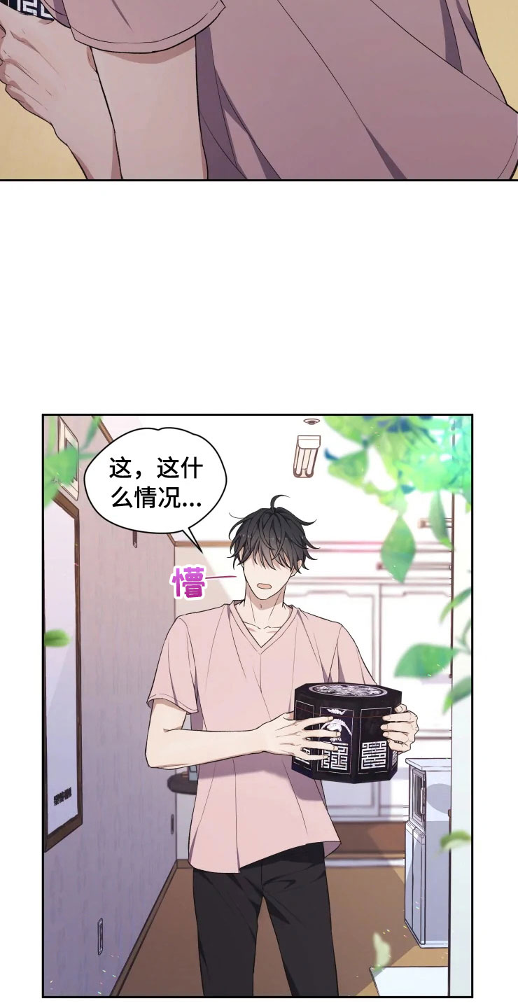 游龙惊梦是什么意思漫画,第13章：妈妈的遗物3图