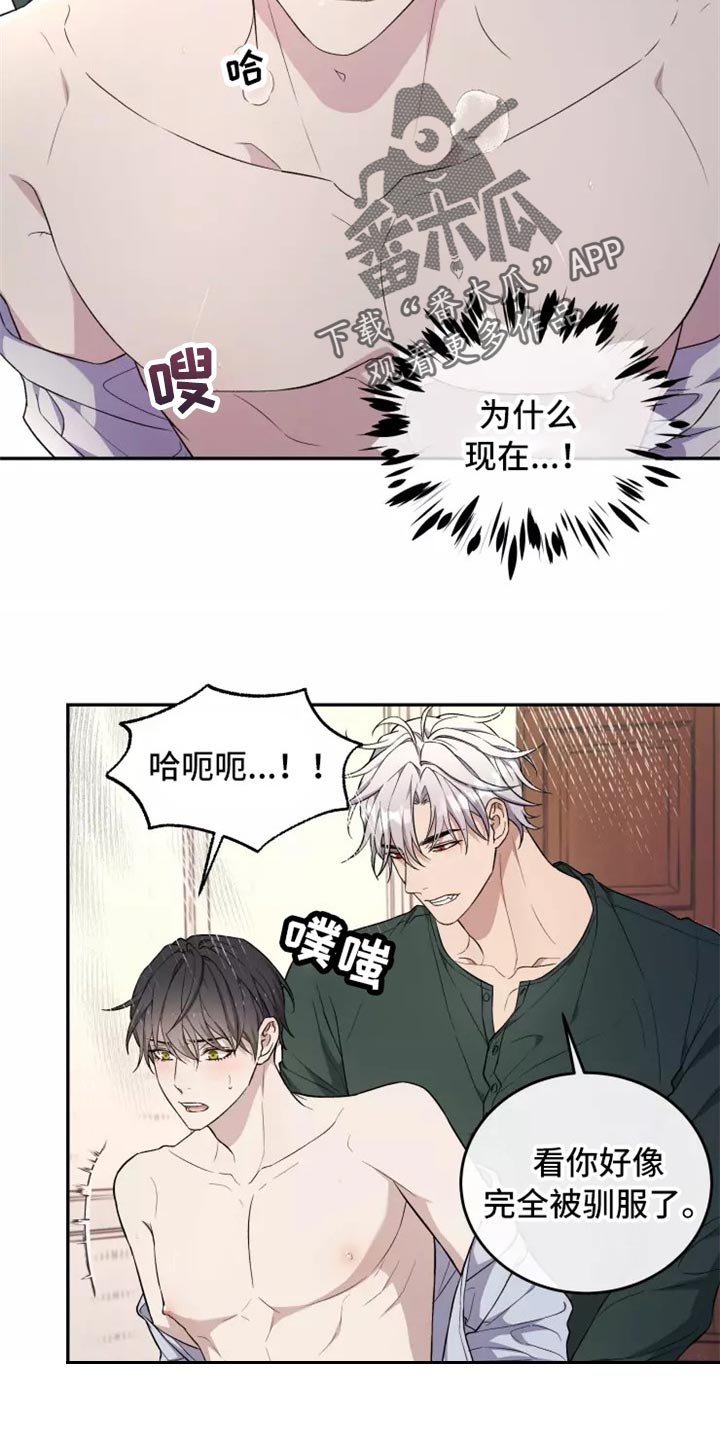 梦中游龙漫画全集漫画,第39章：不是梦1图