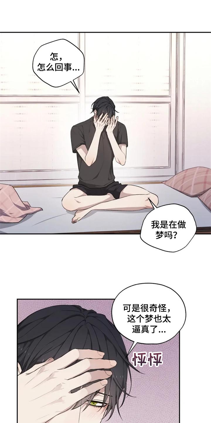 梦里游龙漫画,第31章：箱子2图