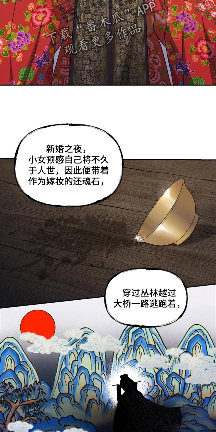 梦中游龙漫画,第25章：还魂石的下落4图