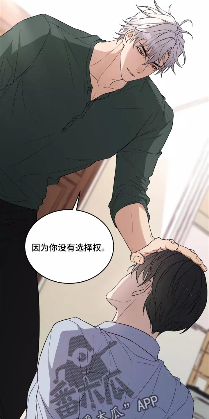 梦中游龙漫画,第38章：天差地别4图