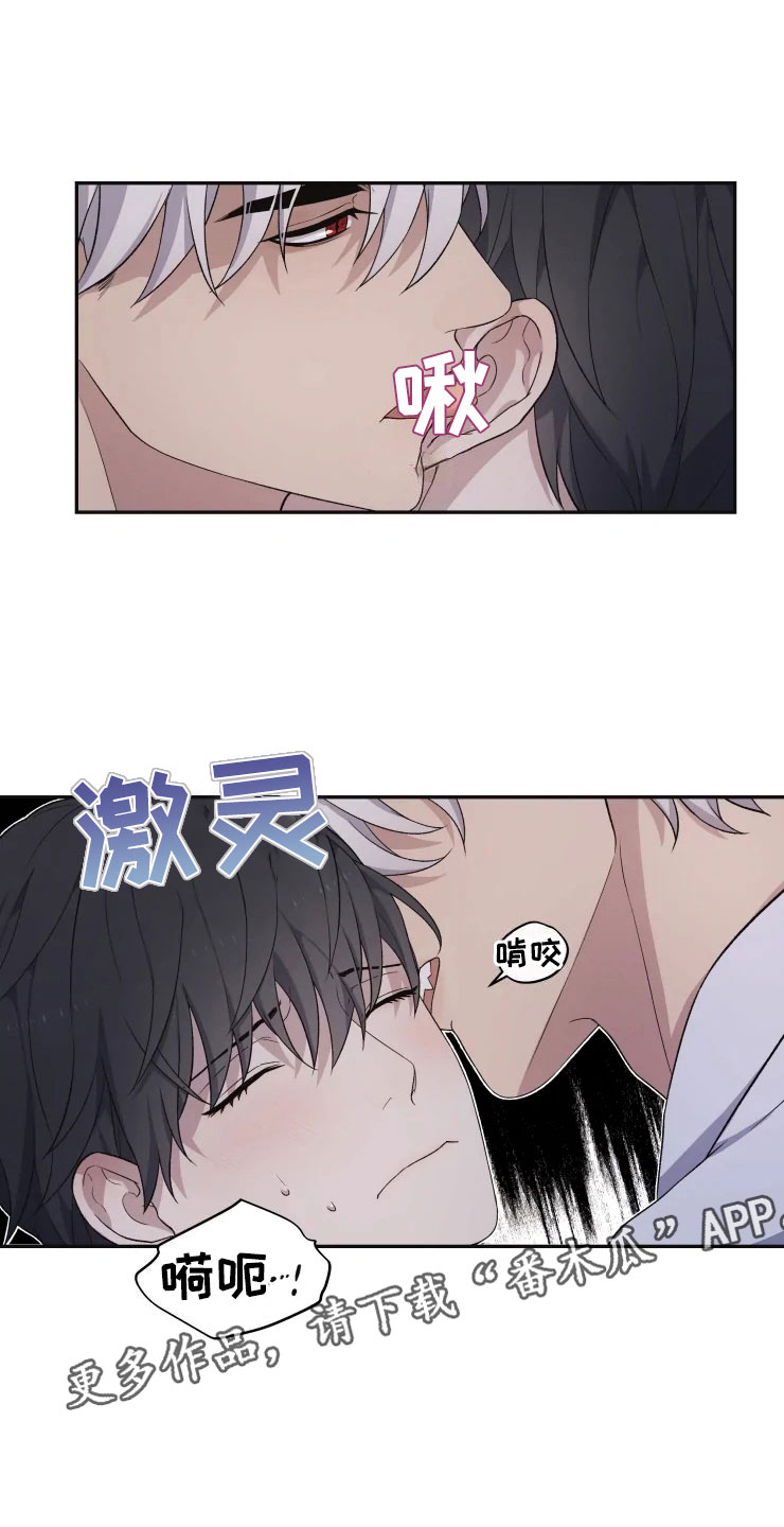 梦中游指哪个生肖漫画,第18章：初夜之礼4图