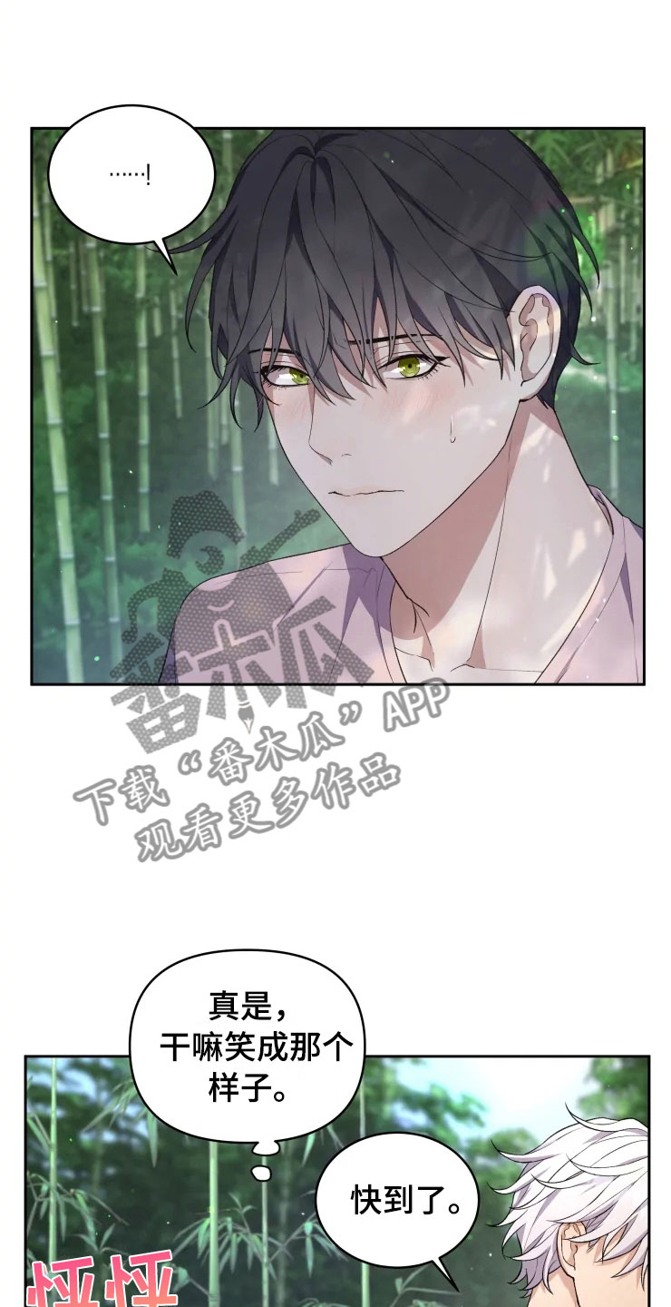 游龙惊梦是什么意思漫画,第14章：龙神商会5图