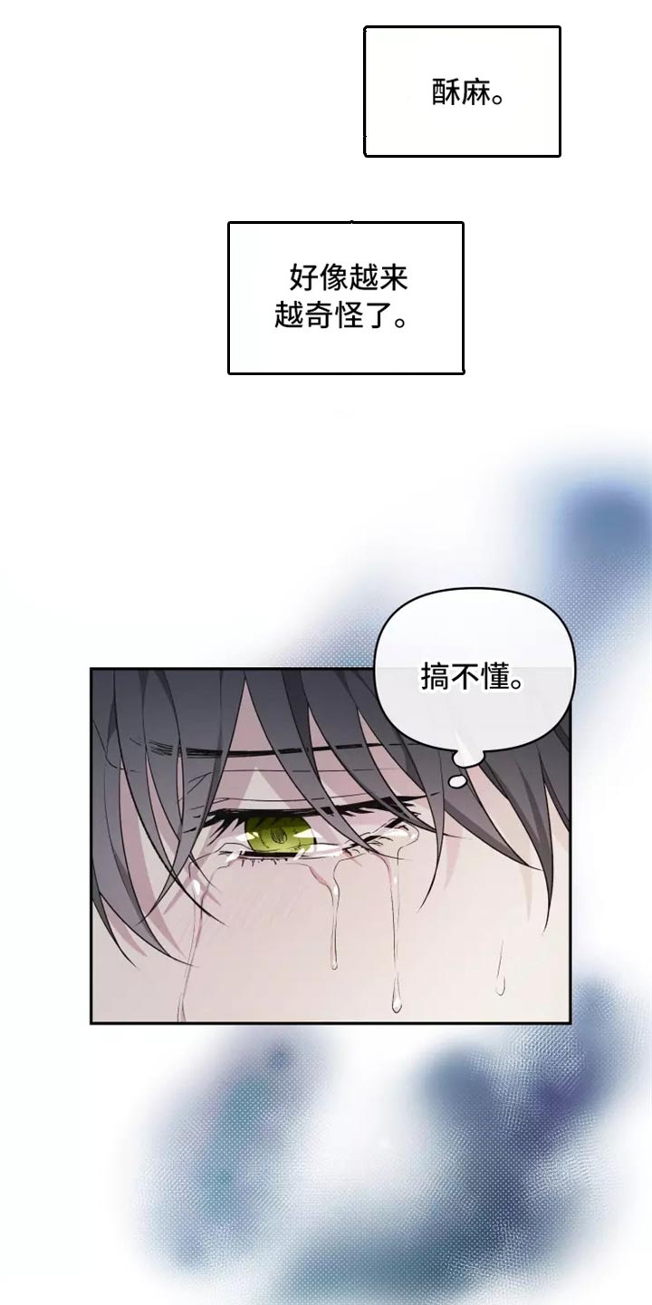 梦中游纯音乐完整版漫画,第40章：搞不懂3图