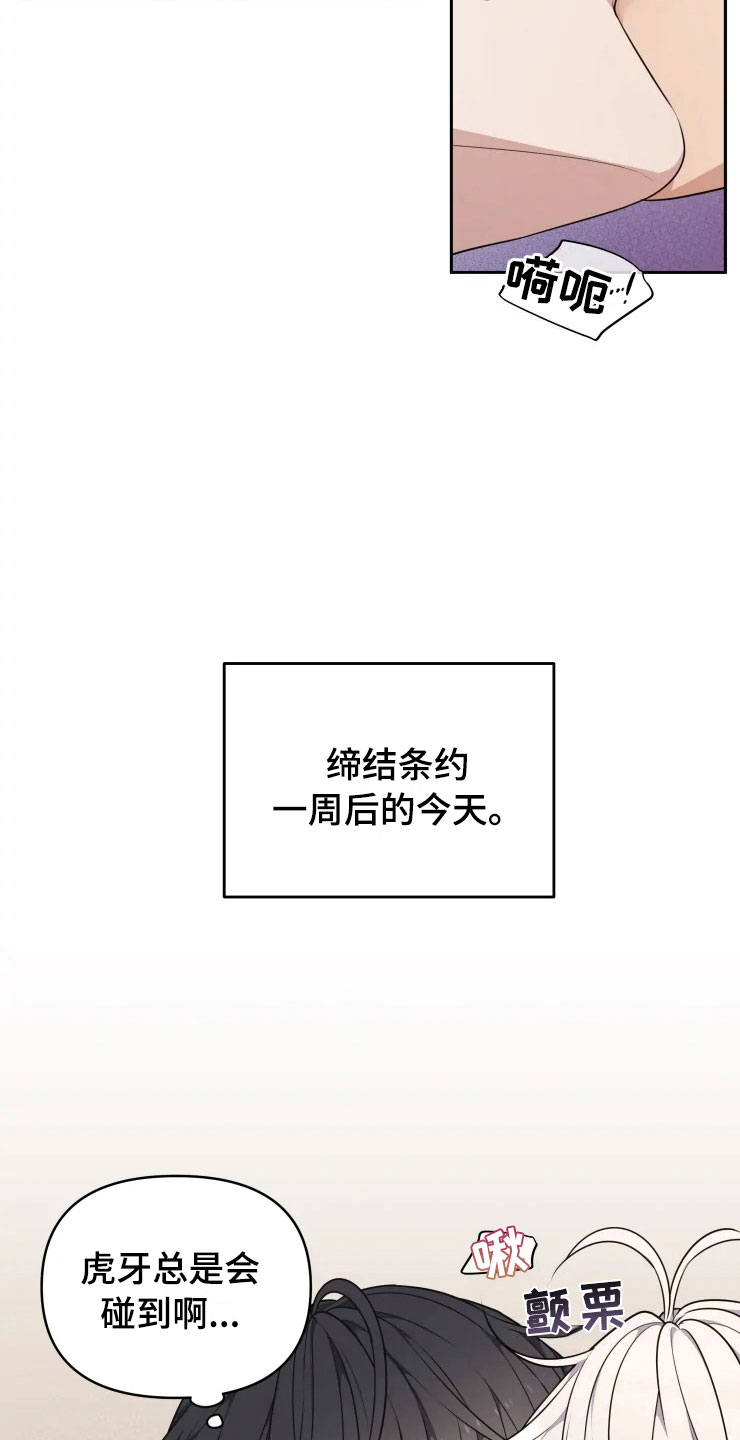 梦里游龙漫画,第11章：三个条件3图