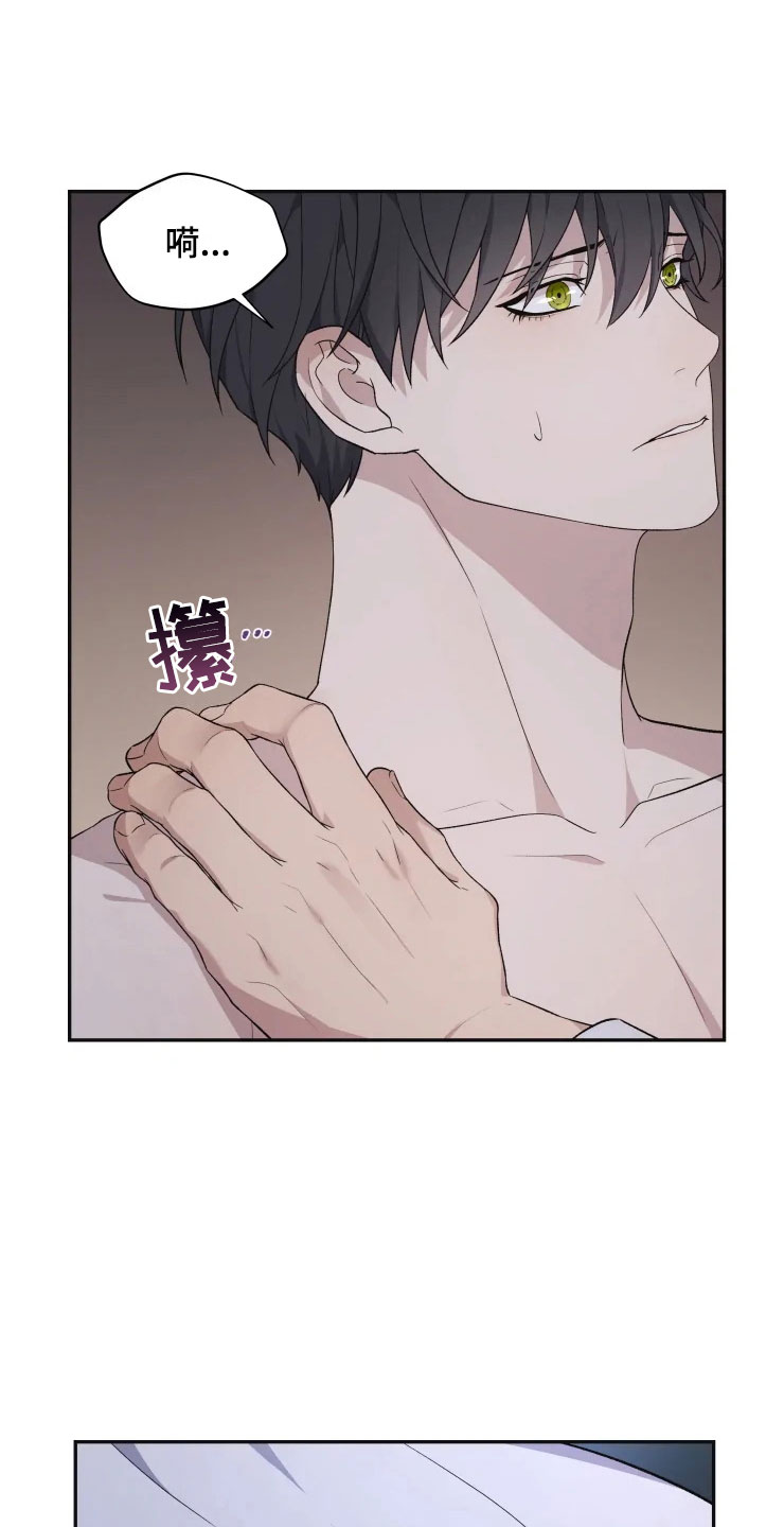 梦中游指哪个生肖漫画,第18章：初夜之礼1图