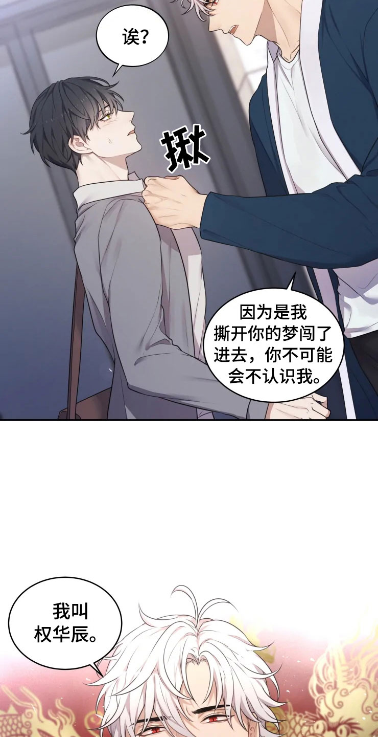 梦中游龙漫画,第2章：梦中的男人4图