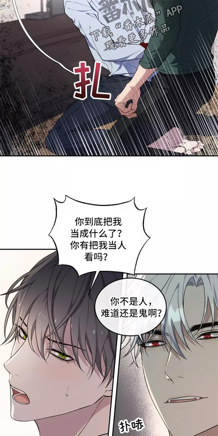 梦中游龙漫画,第39章：不是梦2图