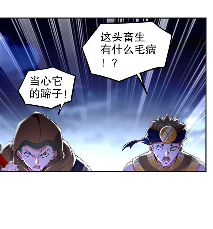 第63章：天马认主0