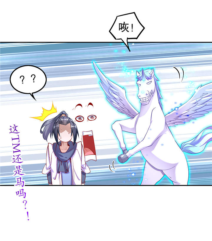 第63章：天马认主4