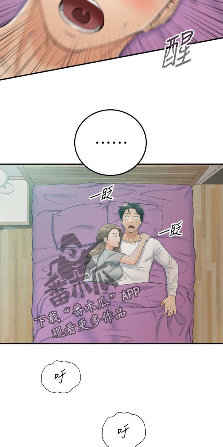 黄岩乡村振兴项目漫画,第159章：稀奇的梦2图