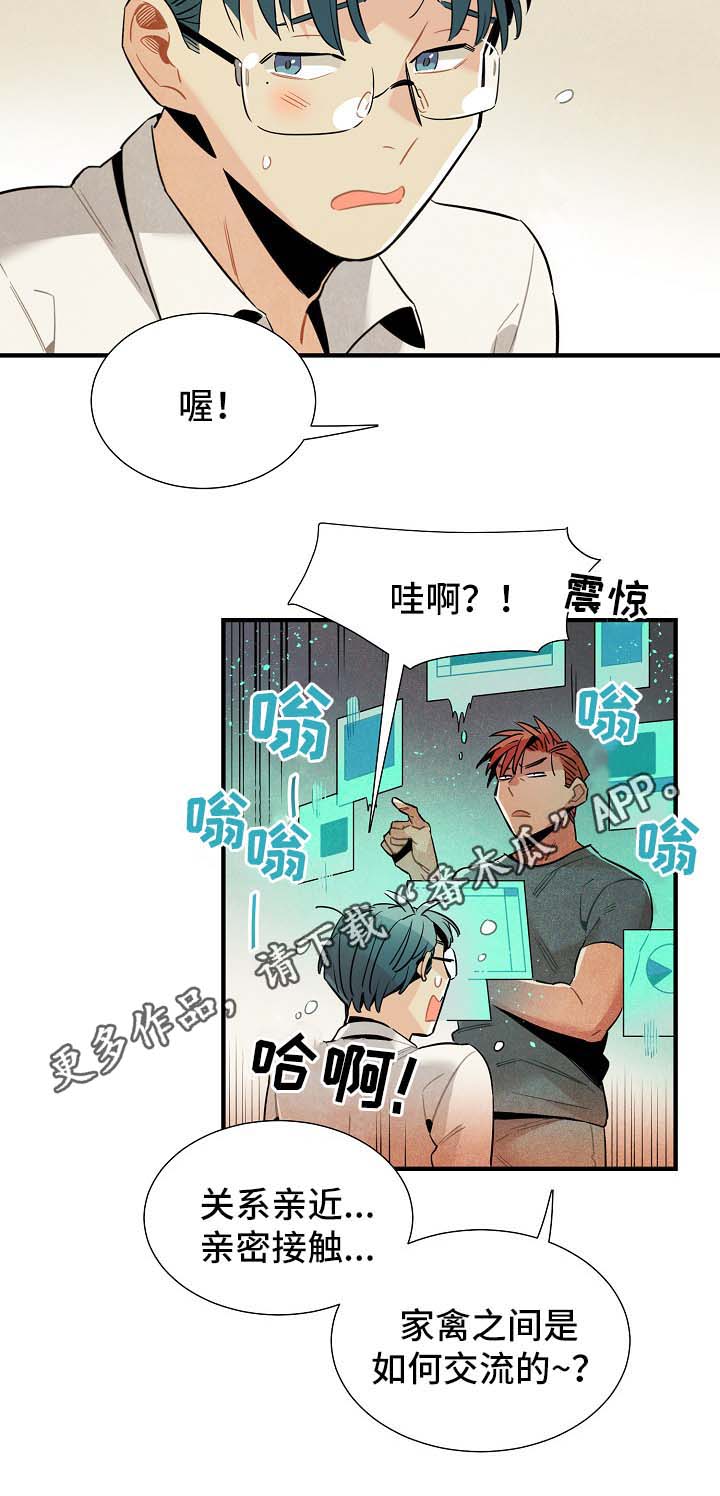 梦见天降外星人漫画,第38章：配对2图