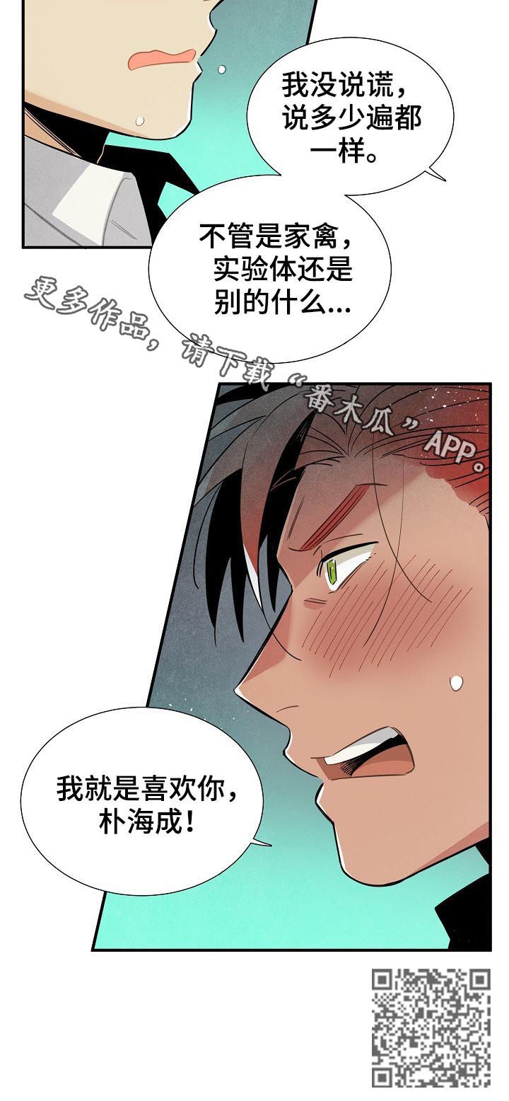 天降外星人漫画,第92章：我就是喜欢你5图