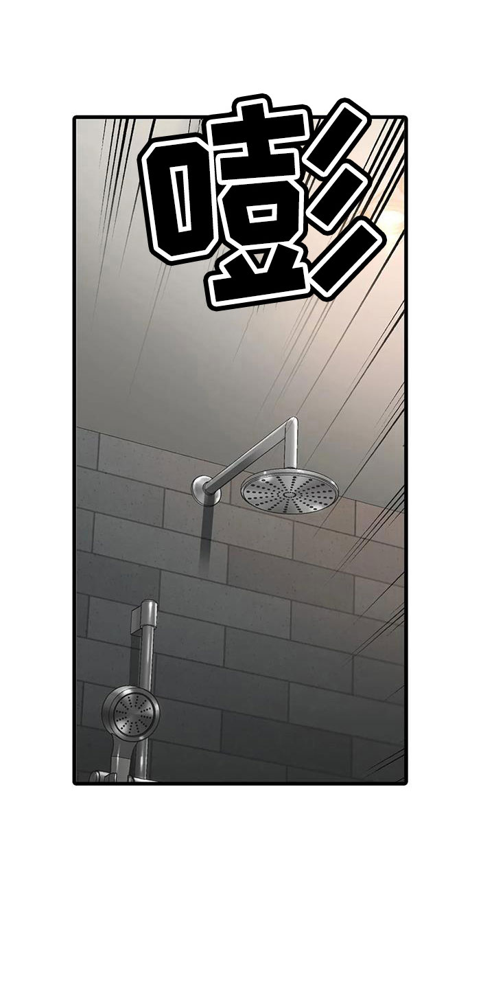 觉醒1-46集免费观看高清漫画,第178章： 【番外】受够了1图