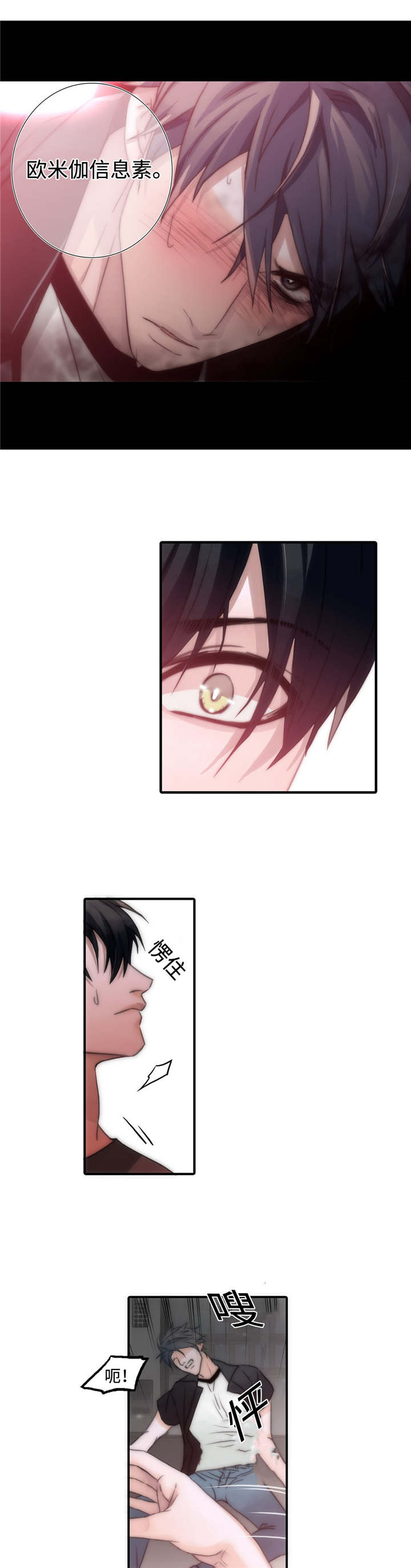 觉醒周期免费观看漫画,第6章：信息素5图