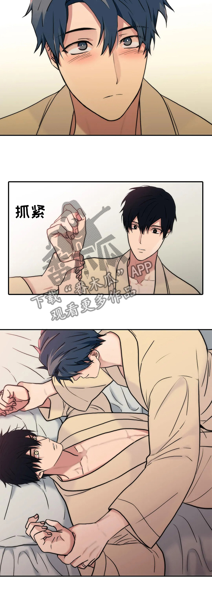 觉醒1-46集免费观看高清漫画,第154章：【第三季】婚礼进行时2图