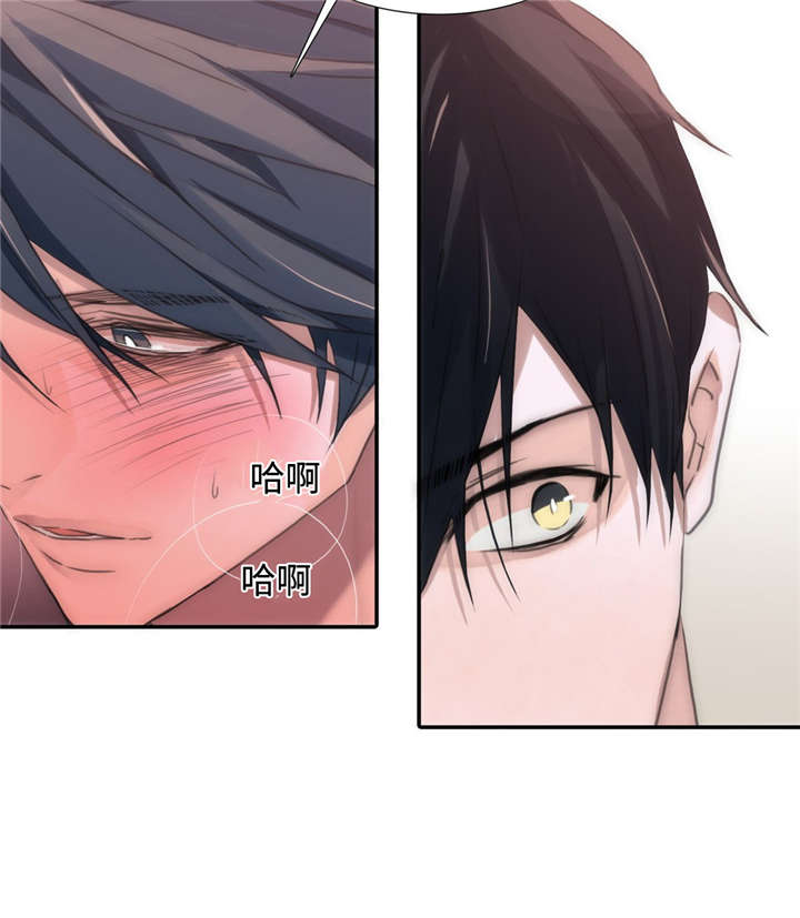 觉醒周期结局了吗漫画,第20章：负责1图